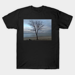 A tree on the beach T-Shirt